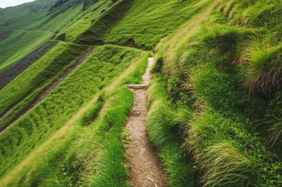 Illustration benches - Image 1