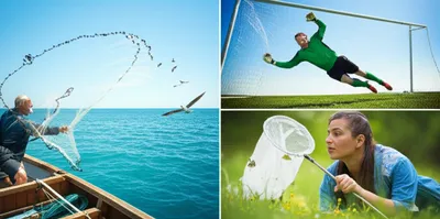 Illustration netters