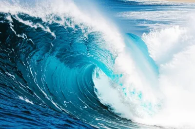 Illustration barrels - Image 1