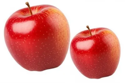 Illustration resized - Image 1