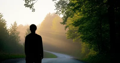 Illustration tr - Image 1