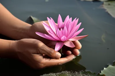 Illustration midwives - Image 1