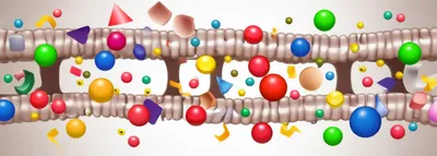 Illustration exchange - Image 1