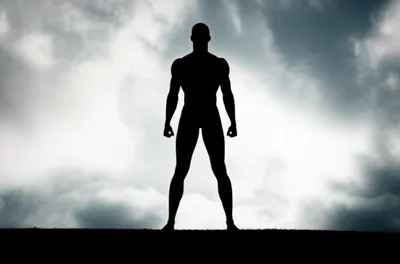 Illustration muscular - Image 1