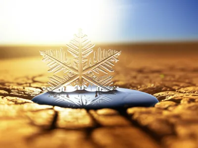 Illustration irreproducible - Image 1