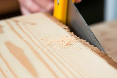 Illustration sawn - Image 1