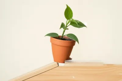 Illustration tilts - Image 1