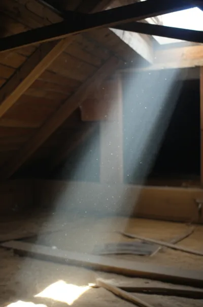 Illustration particulate - Image 1