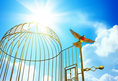 Illustration ridding - Image 1