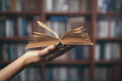 Illustration duodecimo - Image 1