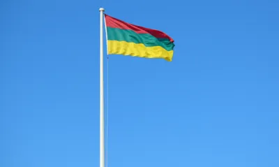 Illustration flies - Image 1