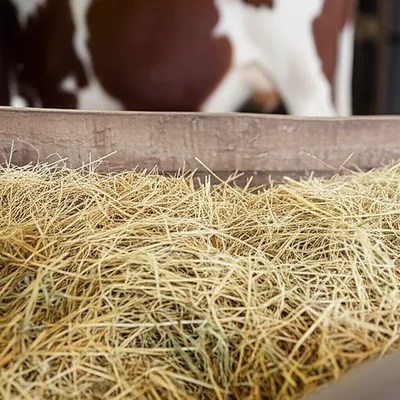 Illustration winder - Image 1