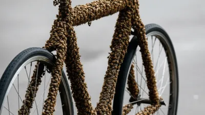 Illustration bike - Image 1