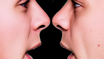 Illustration chinned - Image 1