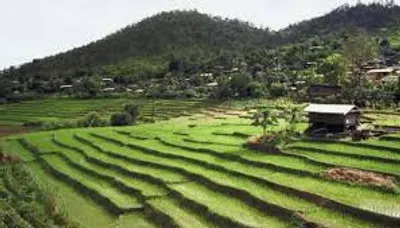 Illustration terrace - Image 2