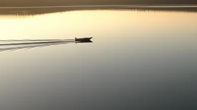 Illustration skim - Image 1