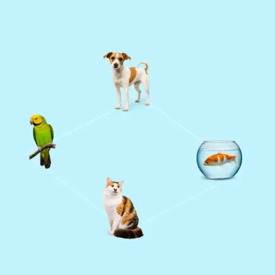 Illustration quad - Image 1