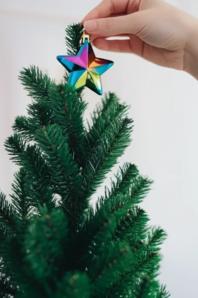 Illustration ornament - Image 1