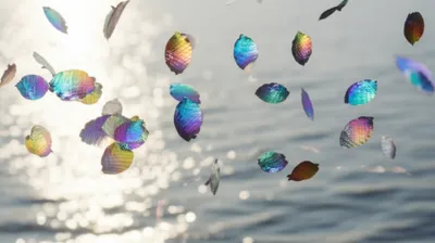 Illustration scales - Image 1