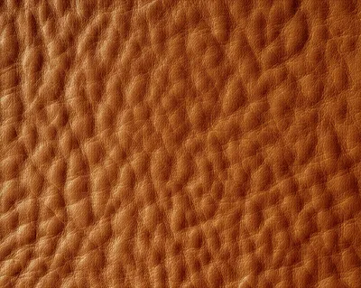Illustration leather - Image 1