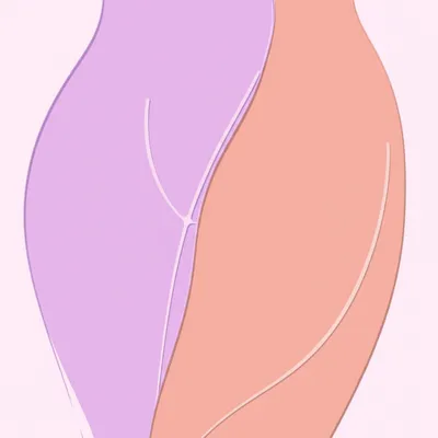 Illustration pudenda - Image 1