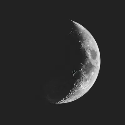 Illustration limb - Image 1