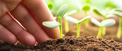 Illustration prefer - Image 1