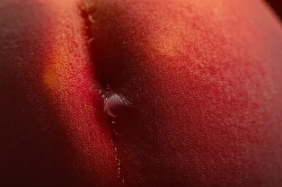 Illustration ripe - Image 1