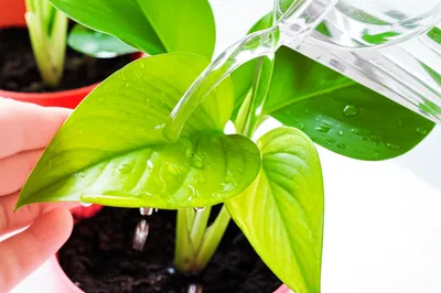 Illustration responding - Image 1