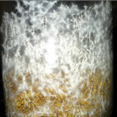 Illustration spawn - Image 1