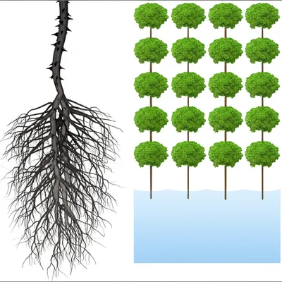 Illustration rationalizing - Image 1