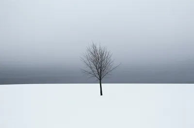 Illustration bleak - Image 1