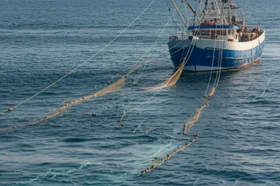 Illustration shot - Image 1