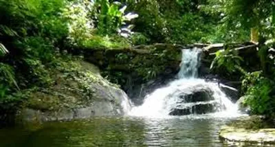 Illustration font - Image 2