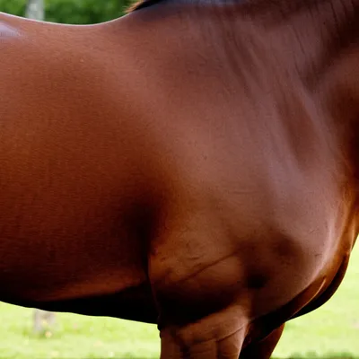 Illustration bay - Image 1