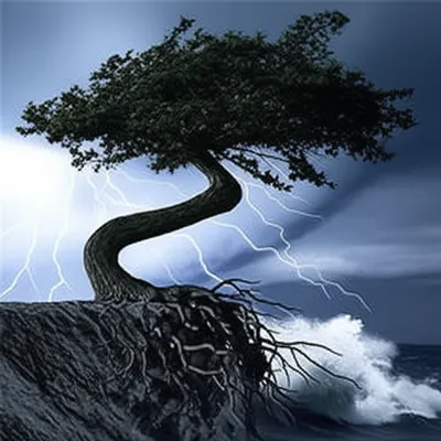 Illustration outstanding