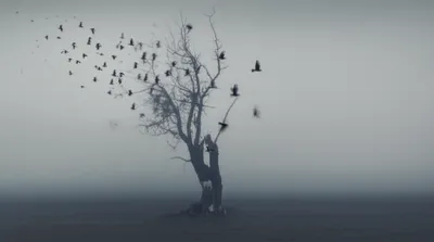 Illustration disappearing