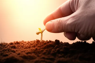 Illustration mothers - Image 1