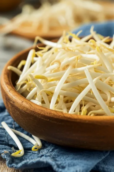 Illustration sprouts - Image 1