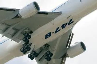 Illustration belly - Image 2