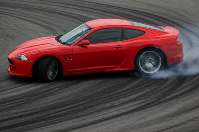 Illustration screech