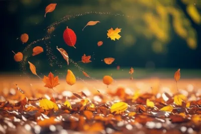 Illustration flurry - Image 1