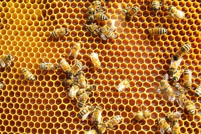 Illustration supers - Image 1