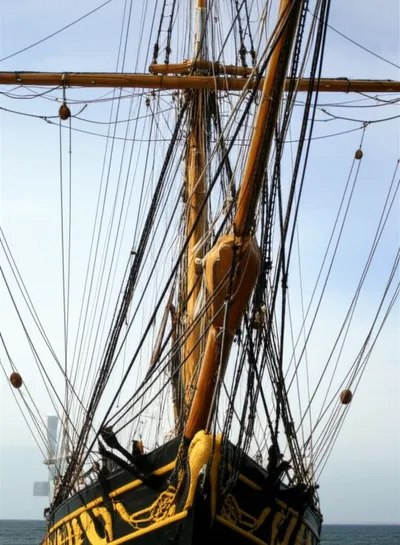 Illustration martingales - Image 1