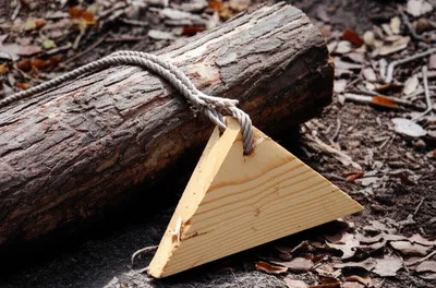 Illustration chips - Image 1