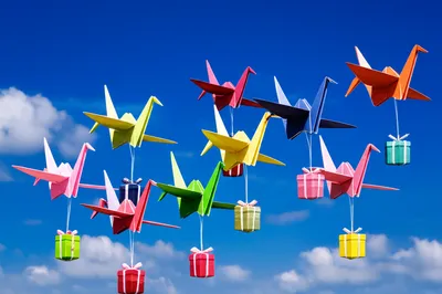 Illustration flew - Image 1