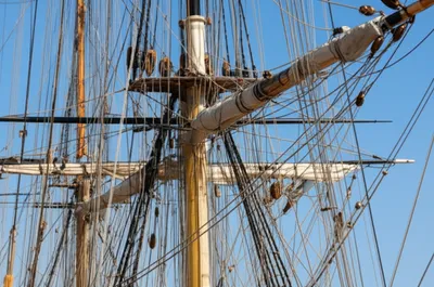 Illustration jeer - Image 1