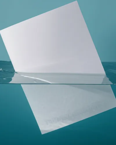 Illustration watermarked