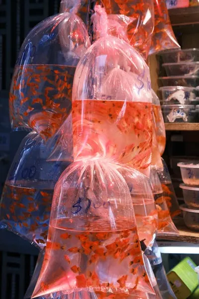 Illustration mercantile - Image 2