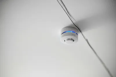 Illustration bogs - Image 1